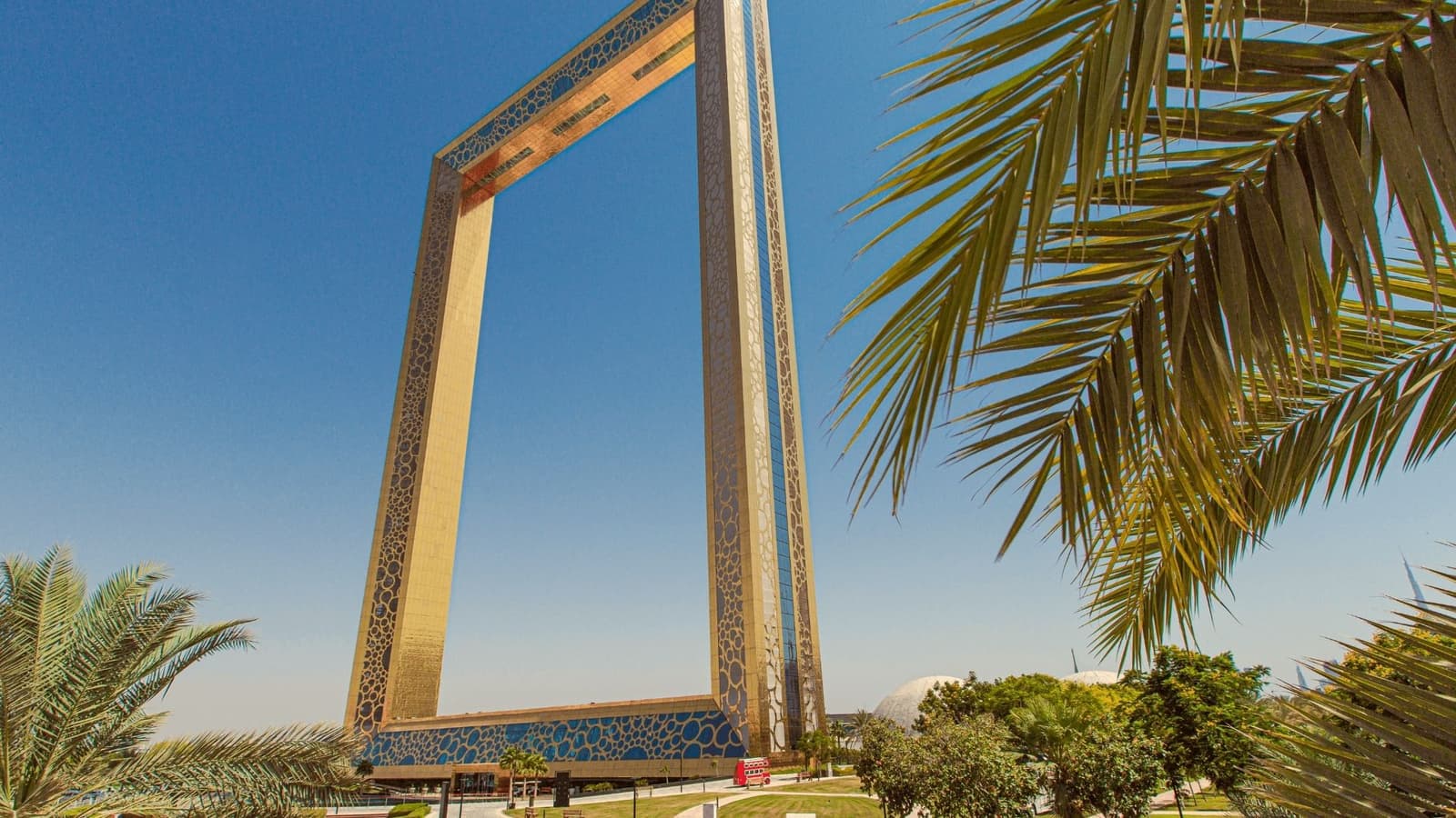 إطار دبي بين سعف النخيل
